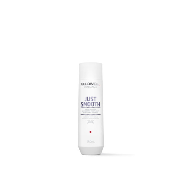 Studio für Foto, Film & Postproduction Goldwell Dualsenses Just Smooth Taming Shampoo karheille ja paksuille hiuksille 250 ml