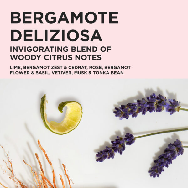 3474637353766_4 Genesis Trio Spring Set 2026