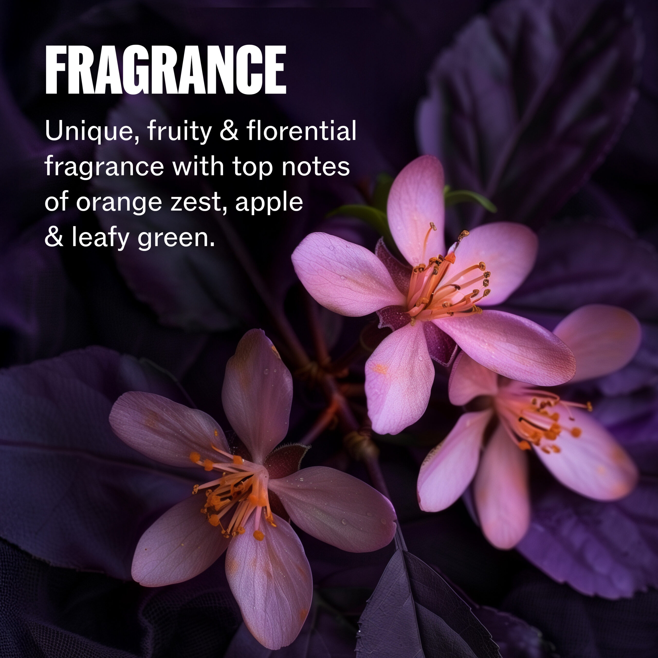 Ultimate Color Conditioner 30ml - Image 7