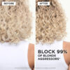 Blond Absolu Blonde Guard Leave-in 190ml